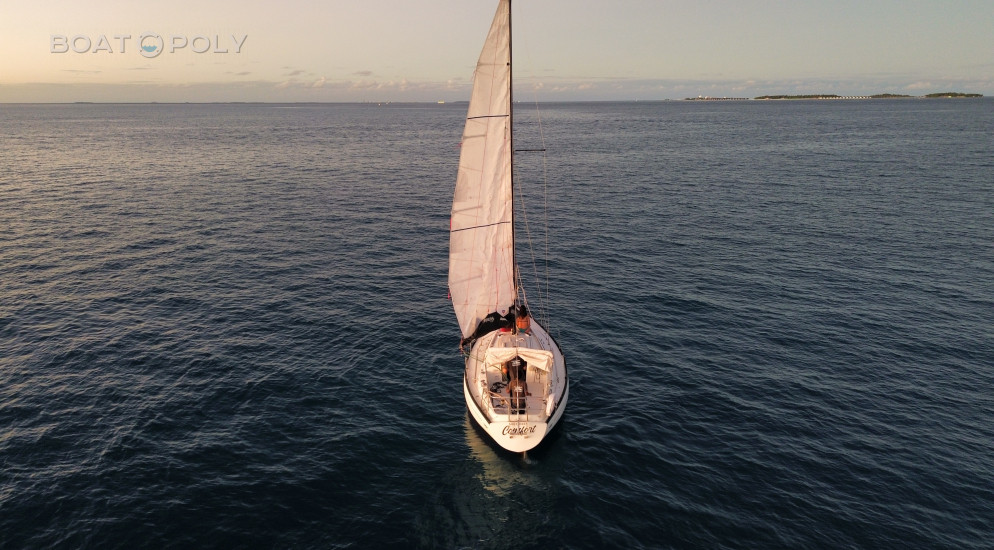 Sailboats